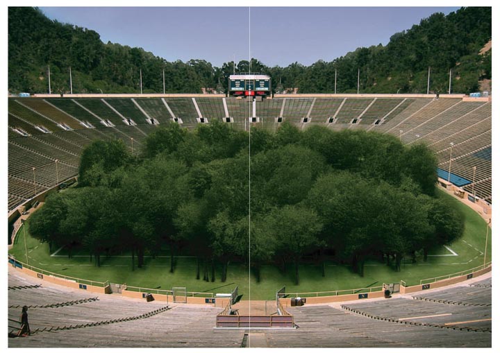 Stadium 01